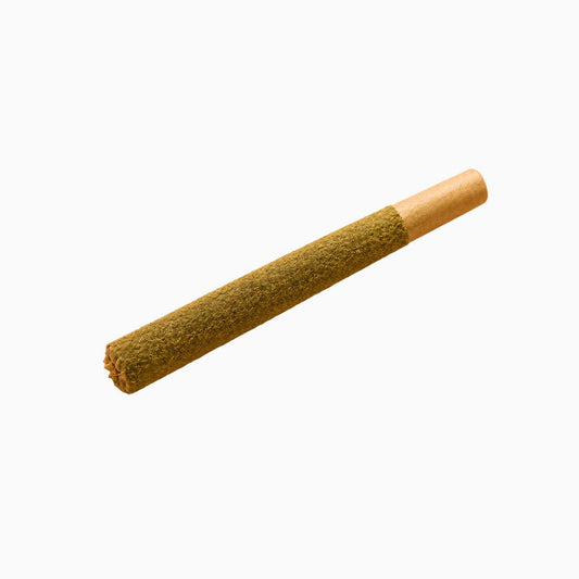 Indoor Moonsticks